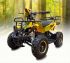 Электроквадроцикл Etoro EK-21 800W