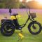 Трехколесный электровелосипед Fat Trike T NEW с передней корзиной